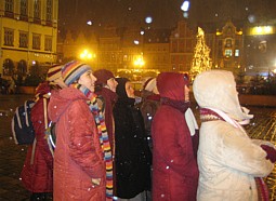 kliknij, aby powiększyć