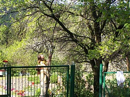 kliknij, aby powiększyć