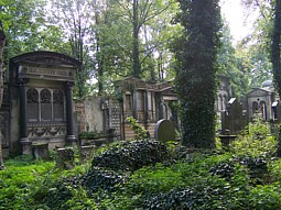 kliknij, aby powiększyć