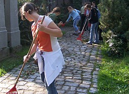 kliknij, aby powikszy