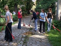 kliknij, aby powikszy