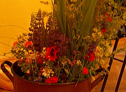 kliknij, aby powiększyć