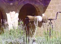 kliknij, aby powiększyć