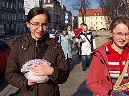 kliknij, aby powiększyć