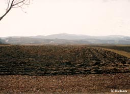 kliknij, aby powiększyć