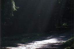 Click to enlarge Highslide JS