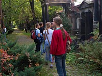 kliknij, aby powikszy