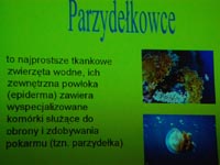 kliknij, aby powikszy