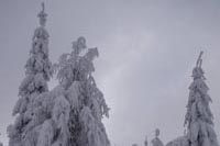 kliknij, aby powikszy